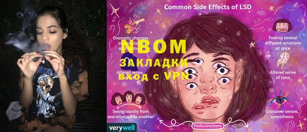 МДПВ Пересвет